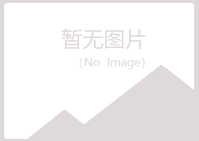 天津夏岚工程有限公司